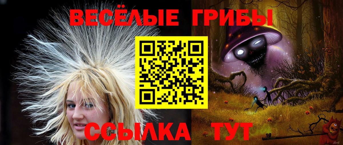 Псилоцибиновые грибы Magic Shrooms Тайшет